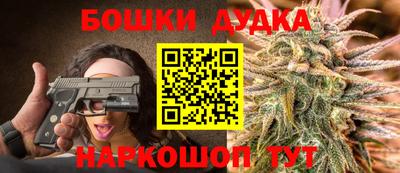 a pvp Славгород